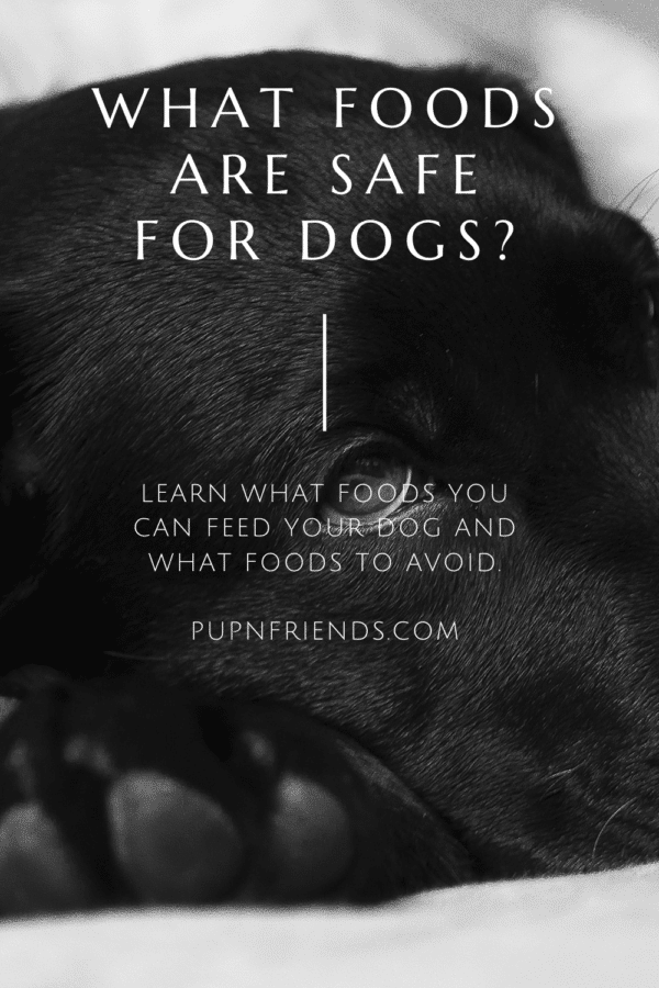 What foods are safe for dogs? #pupnfriends