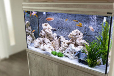 fish tank set