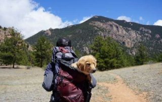 best dog backpack carriers